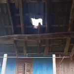 IMG-20240112-WA0022